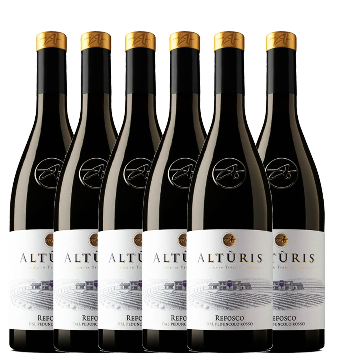 ALTÙRIS - REFOSCO DAL PEDUNCOLO ROSSO IGT VENEZIA GIULIA 2024 BOX DA 6 BOTTIGLIE