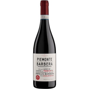SAN SILVESTRO - BARBERA DOC PIEMONTE BIO