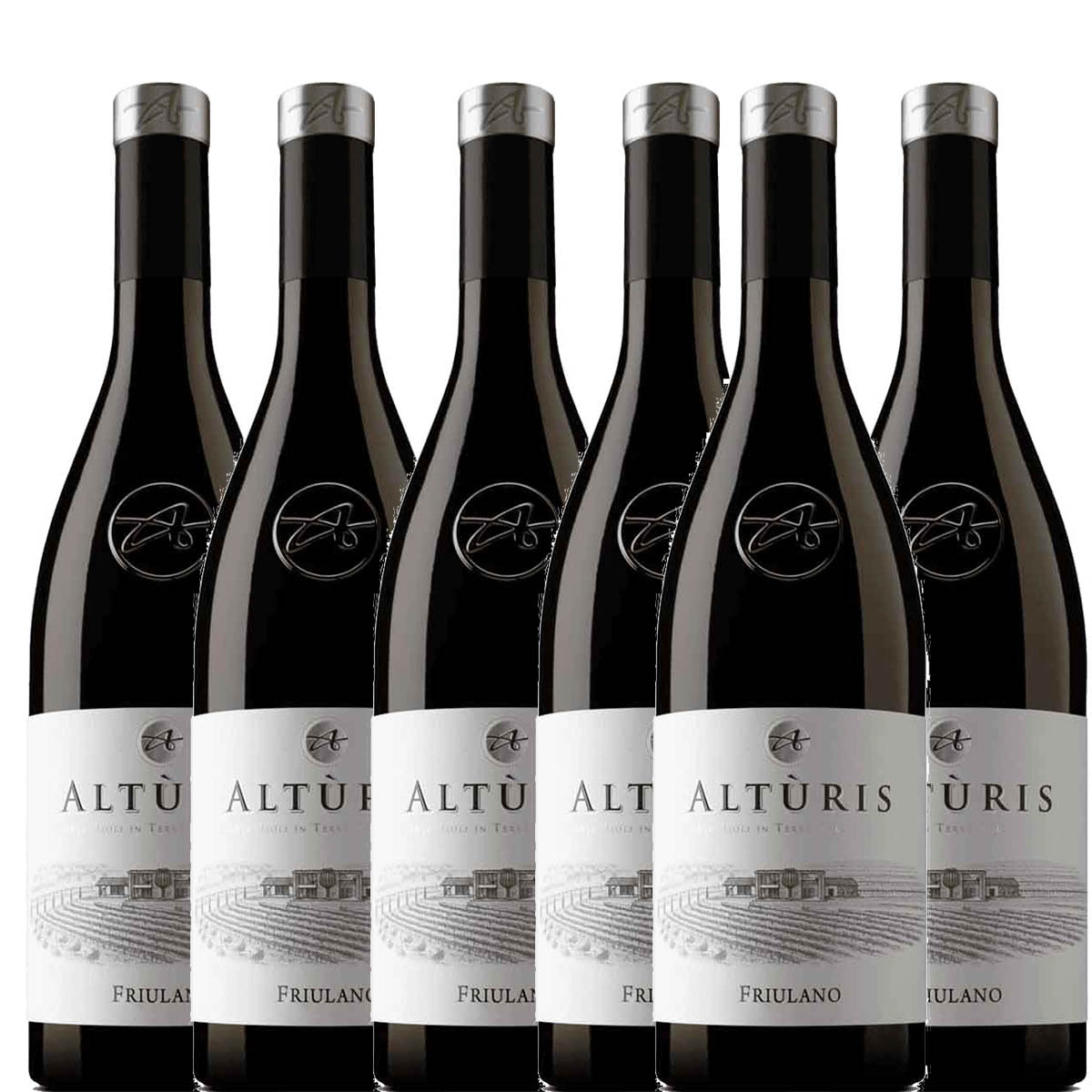 ALTÙRIS - FRIULANO DOC FRIULI COLLI ORIENTALI 2025 BOX DA 6 BOTTIGLIE