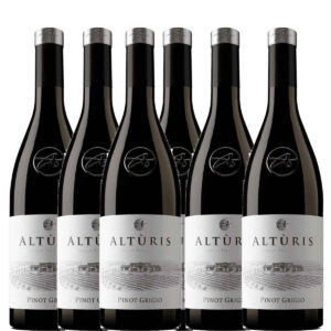 ALTÙRIS - PINOT GRIGIO DOC FRIULI 2025 BOX DA 6 BOTTIGLIE