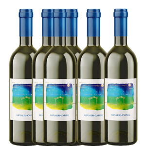 ARNALDO CAPRAI - ANIMA UMBRA GRECHETTO IGT 2025 BOX DA 6 BOTTIGLIE
