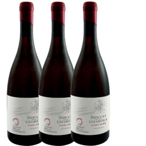 TENUTA DELLA CASCINASSA - BRICCO DELLA GUARDIA PINOT NERO DOC PIEMONTE 2024