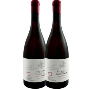 TENUTA DELLA CASCINASSA - BRICCO DELLA GUARDIA PINOT NERO DOC PIEMONTE 2024
