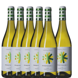 CANTINA FRENTANA - COCOCCIOLA ABRUZZO DOC COSTA DEL MULINO 2024
