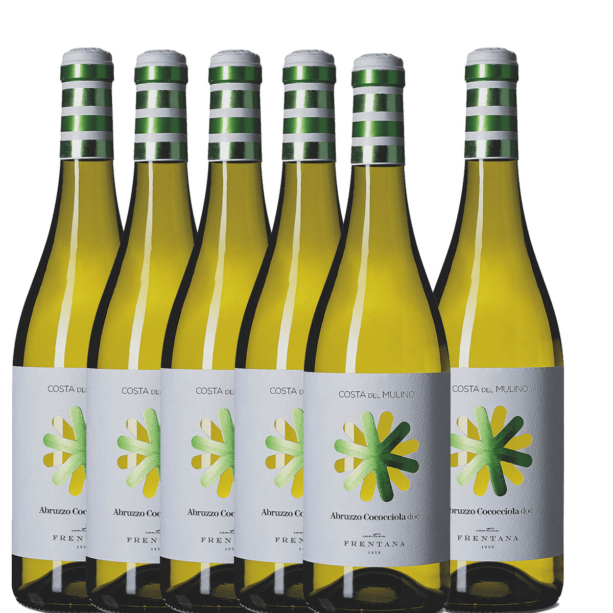 CANTINA FRENTANA - COCOCCIOLA ABRUZZO DOC COSTA DEL MULINO 2024