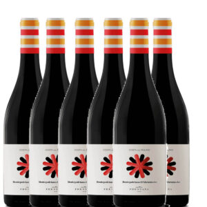 CANTINA FRENTANA - MONTEPULCIANO D'ABRUZZO DOC COSTA DEL MULINO 2023