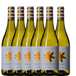 CANTINA FRENTANA - PECORINO ABRUZZO DOC COSTA DEL MULINO 2025
