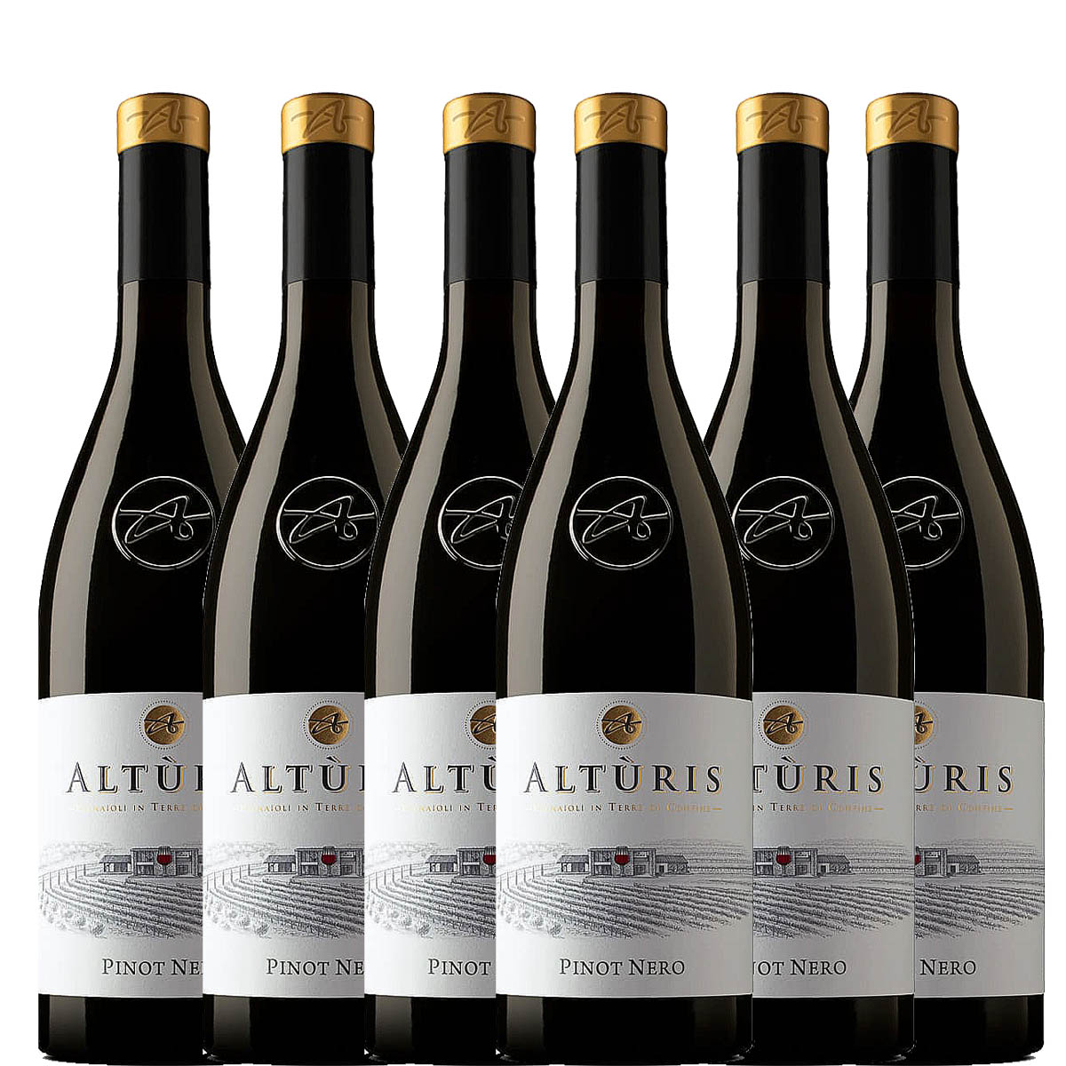 ALTÙRIS - PINOT NERO 2024 IGT VENEZIA GIULIA BOX DA 6 BOTTIGLIE