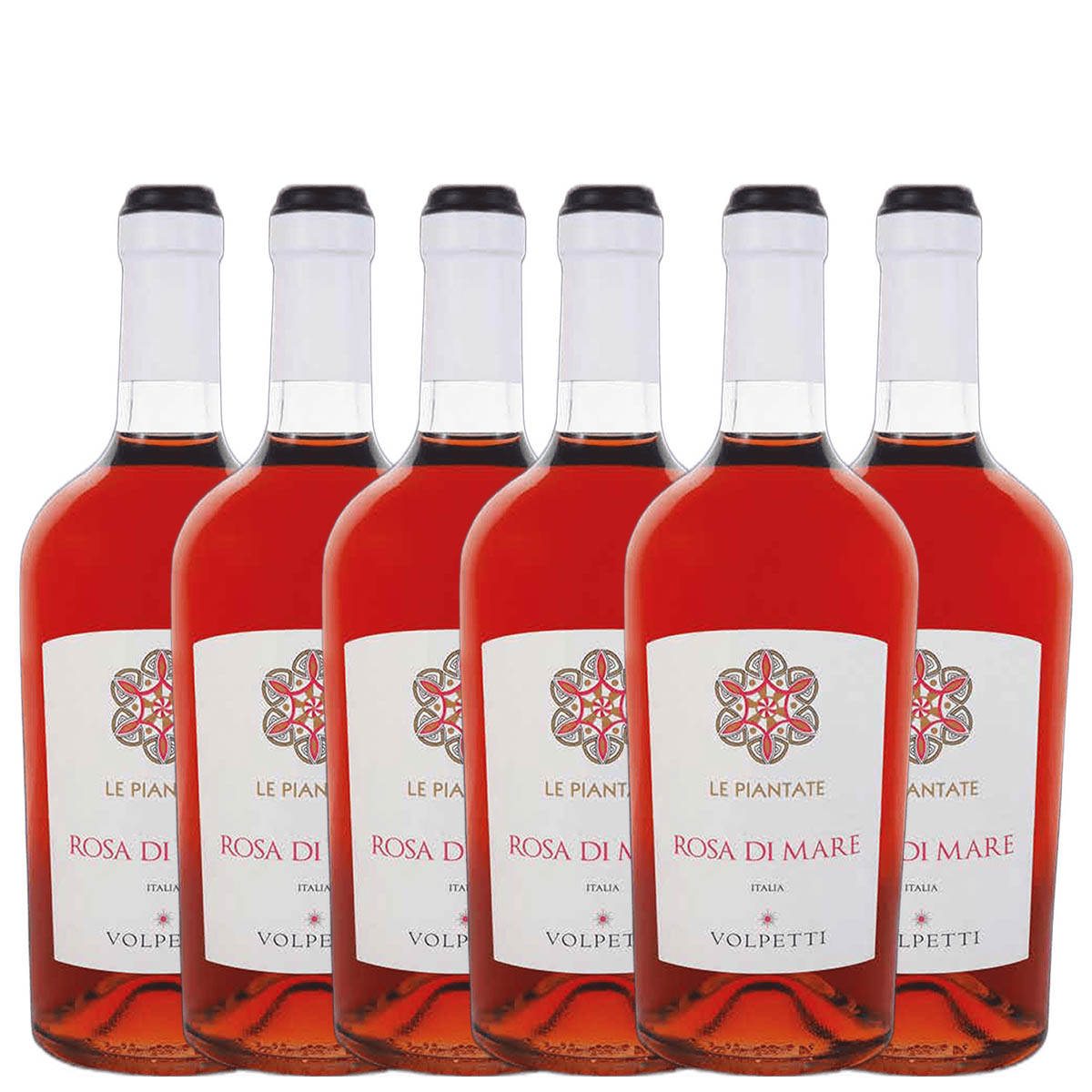 VOLPETTI - ROSATO SYRAH IGT LAZIO LE PIANTATE 2025 BOX DA 6 BOTTIGLIE